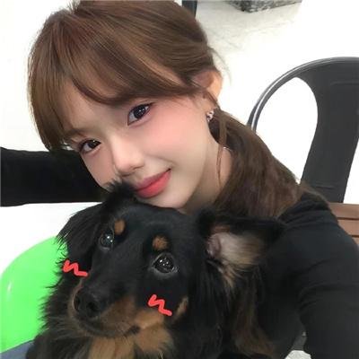 母猫